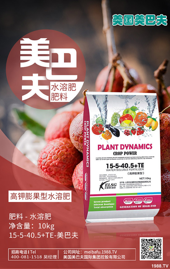     ��С���M(j��n)��������ι�����С���������c(di��n)��ע�����(xi��ng)��