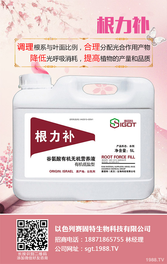 С��������Ҋ(ji��n)�Ĳ�������Щ��ԓ��η���������С���������η�����B