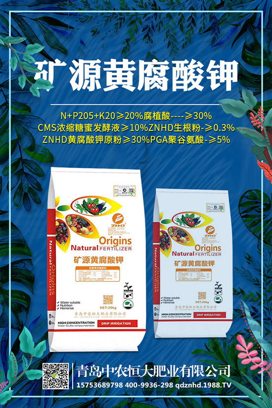 �紺���˷Nֲ���g(sh��)����Щ�����g����Ҫע��ʲô��