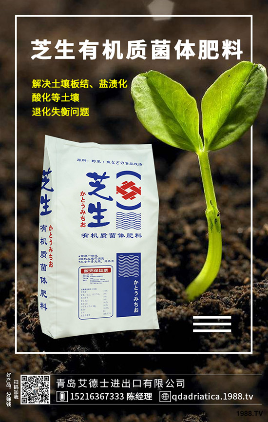 ��������ô��Ч�����ã������ص�ʹ�÷�����