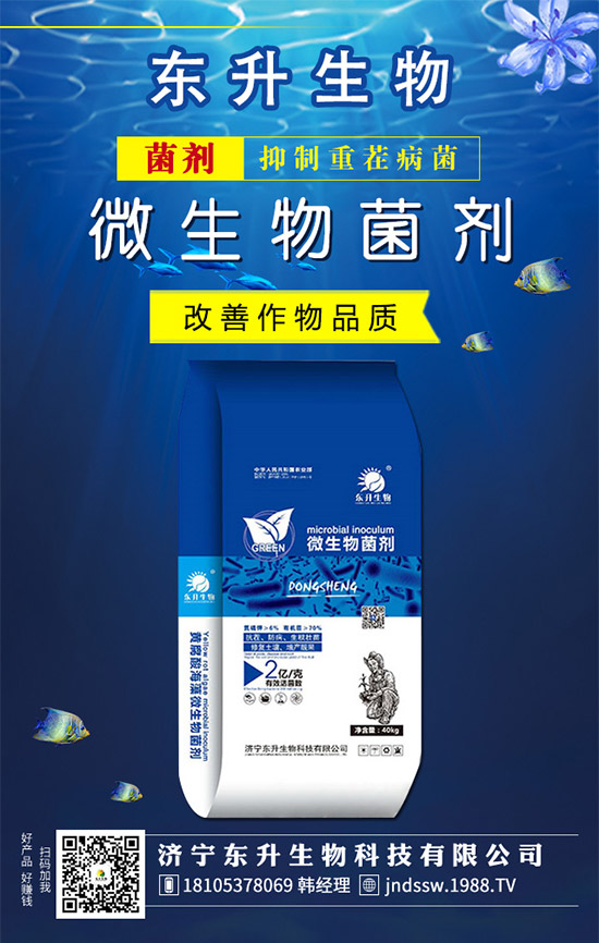 �²�Ʒ�N����Щ���²˵��B(y��ng)ֳע�������