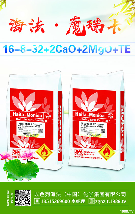     ���أ��r(ji��)��ֹ?ji��)q�������Ј�С����ʎ��2020-3-21�������س��S��(b��o)�r(ji��)��