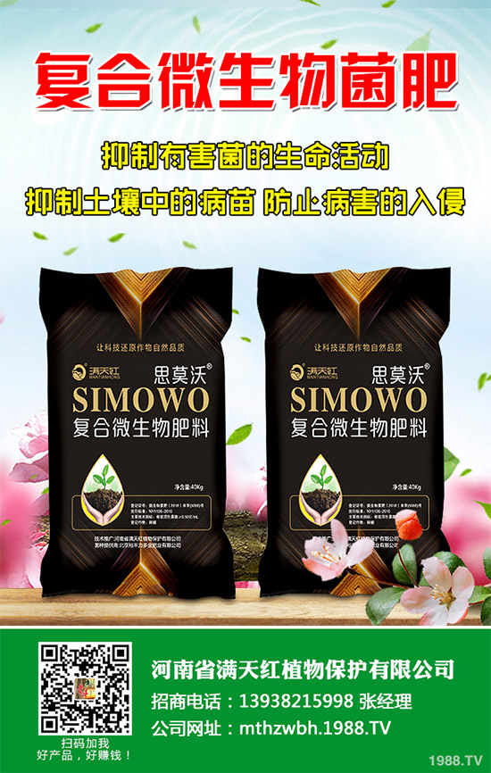 �����������ʩ����2020�괺���׿ƌWʩ�ʽ��h