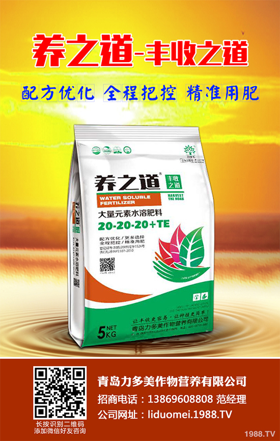 ���{(l��n)��ԓ��ηNֲ�����{(l��n)���߮a(ch��n)�Nֲ���g(sh��)Ҫ�c(di��n)