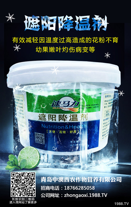 ��Ʒ�|(zh��)��Ҭ����ôʩ�����������@���c��