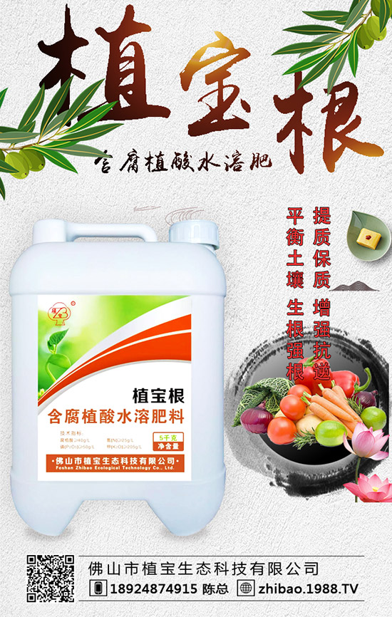 �紺���������Jʲô�r�g�N�������J��ֲ�����Ҫ�c��