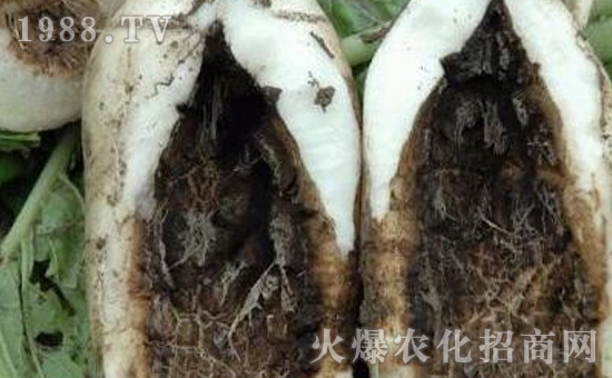 �}���ڸ����İY����}���ڸ����ķ��Σ�