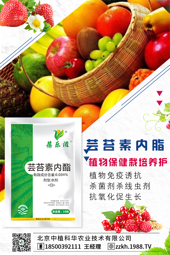 ���Ҫ��ô�Nֲ�����ˮ�ʹ���Ҫ�c��