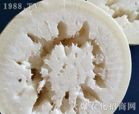 �}�����Ĳ�