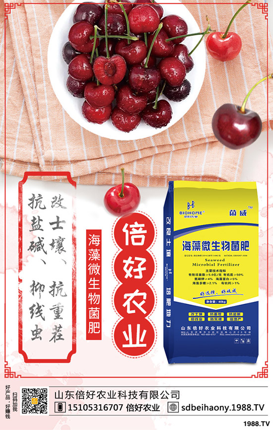     本周國(guó)內(nèi)尿素行情波動(dòng)不大！今日最新尿素出廠報(bào)價(jià)一覽2020-4-11！