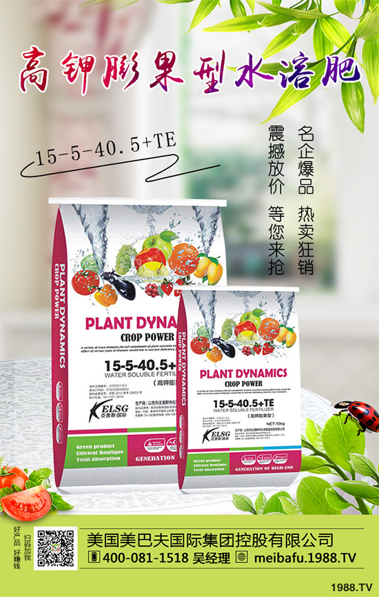 �ϹϷ��Ďׂ����L�A�����Ϲό��������I�B(y��ng)Ҫ��