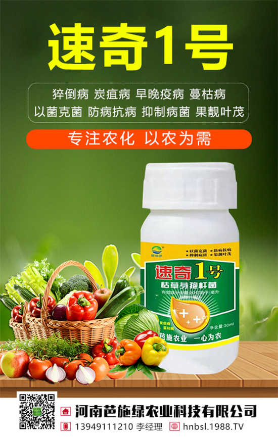 ��(zh��n)�Ժ���������(j��)�����ϰ�ʩ�G�r(n��ng)�I(y��)�y��1988.TV�ل�(chu��ng)�x�ͣ�