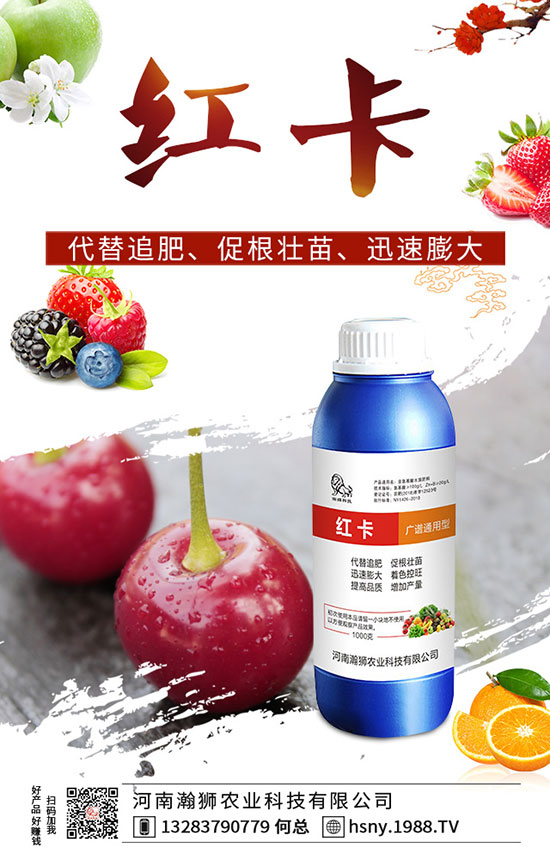 �����������ι�����������������Լ��g(sh��)Ҫ�c(di��n)