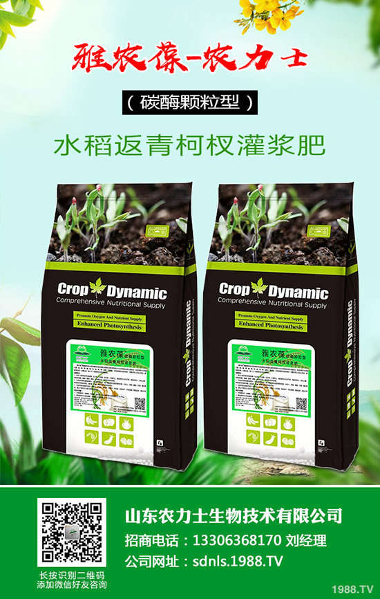     ����(n��i)���؃r��С��̽�q���������������߄ݾC���A�y2020-4-16