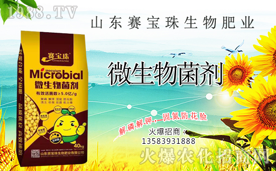 ِ�������ﺞ�s1988.TV�����\�������p�A��