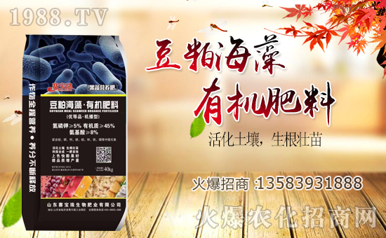 ِ�������ﺞ�s1988.TV�����\�������p�A��