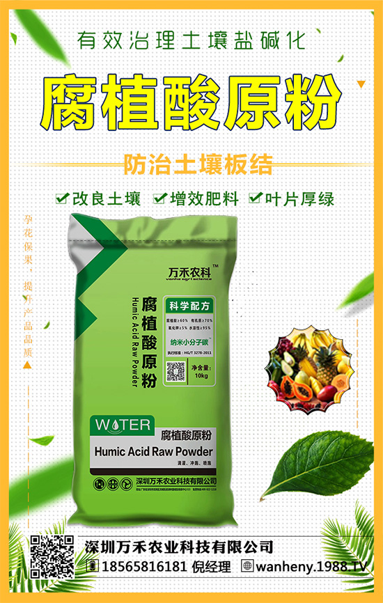 �����f���r(n��ng)�I(y��)�ٶȔy��1988.TV������W(w��ng)�j�������E��