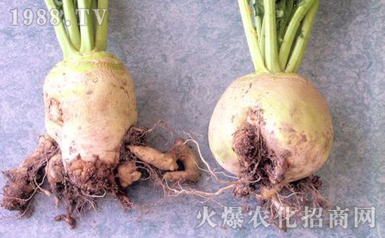 �}�����[��