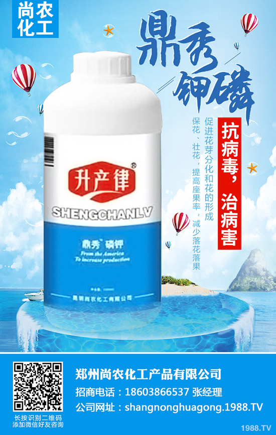     ���{���Y(ji��)����ô�k�����{���Y(ji��)��ԭ�򼰷��δ�ʩ��