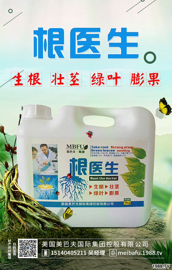 ������ʲô�r�򲥷N���������Ĳ��N�r�g��ע�����