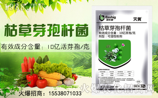 ���˸��r(n��ng)�I(y��)�ٺ����r(n��ng)���W(w��ng)������(sh��)�F(xi��n)�v�w��(m��ng)��