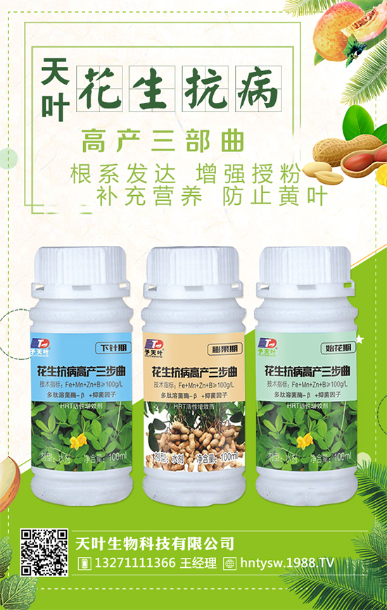 ���~�����ٺ�1988.TV���y�ִ����������E��