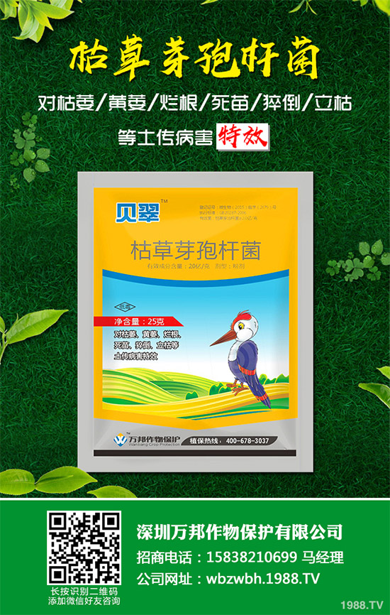 С����ù��ˎ������Ч����������׃����