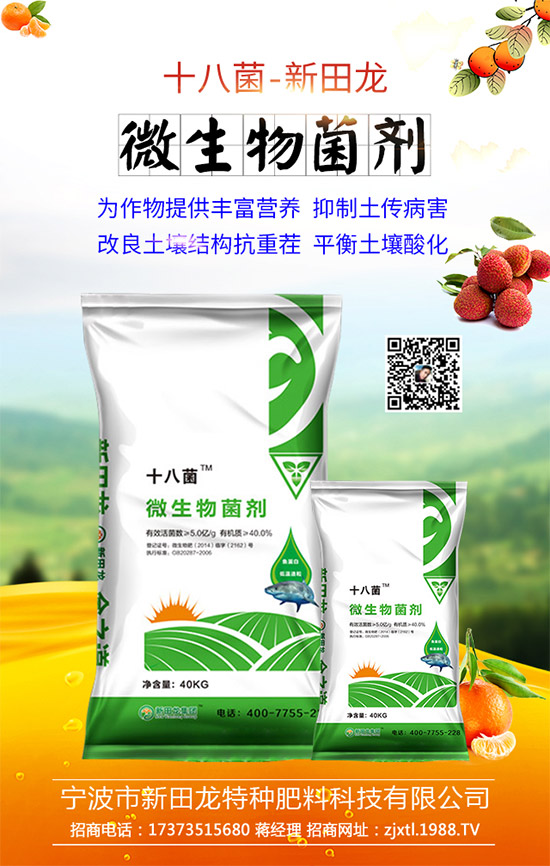 �����P(gu��n)ϵ�����A���������m(x��)�s1988.TV�����\�����°l(f��)չ��