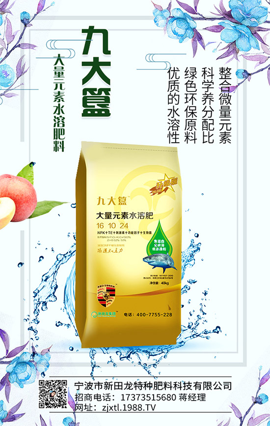 �����P(gu��n)ϵ�����A���������m(x��)�s1988.TV�����\�����°l(f��)չ��