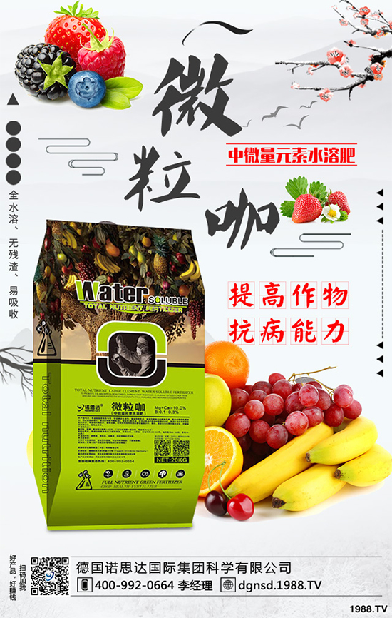 ��(zh��n)�Ժ��������������Z˼�_�ٴκ��s1988.TV��