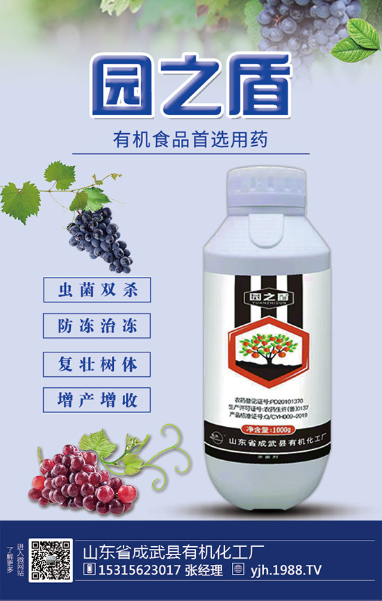 �J�S���ʩ�����J�S��ʲô���Ϻ����J�S������c(di��n)��ע�����(xi��ng)��