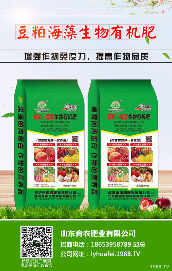 ��z�ʾ�ԓ���������������ࣿ��z�ʾո߮a(ch��n)�������