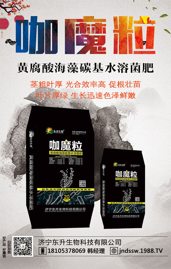 С����ʲô�g�Nֲ�r��С���۷Nֲ����Ҫ�c��