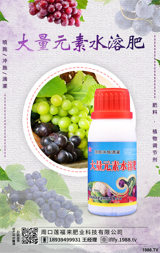 ���v�̶����Xһ��Nֲǰ���������ˎ�ĵ�Ч�����