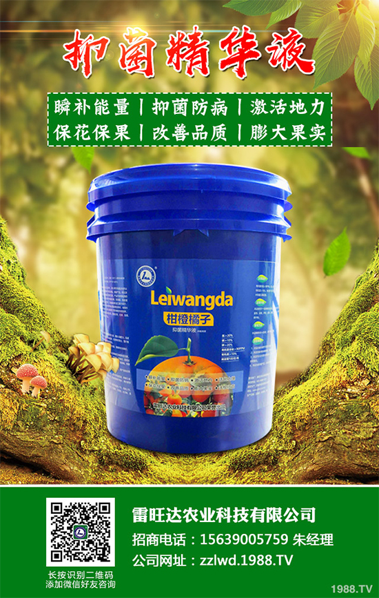 �~�Ȳ��Ј�(ch��ng)�r(ji��)������Xһ����2020���~�ȲݵķNֲЧ�����