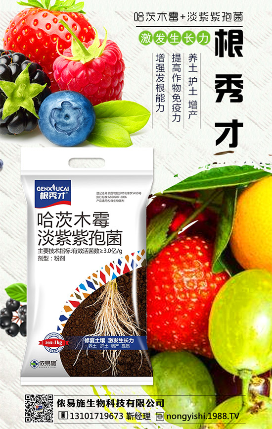 �������x������(j��)���z��ʩ�ٺ�1988.TV������(sh��)�F(xi��n)�v�w��(m��ng)��