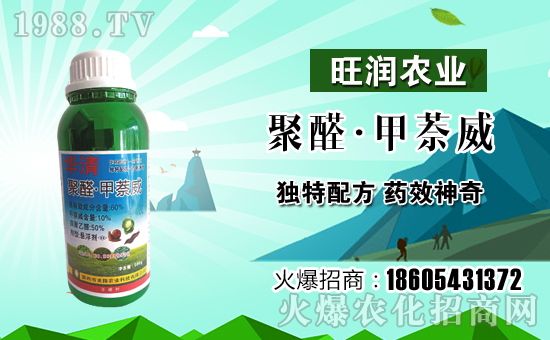 ��¡�r(n��ng)�I(y��)�m(x��)�s1988.TV���y�ֹ���(chu��ng)���x����