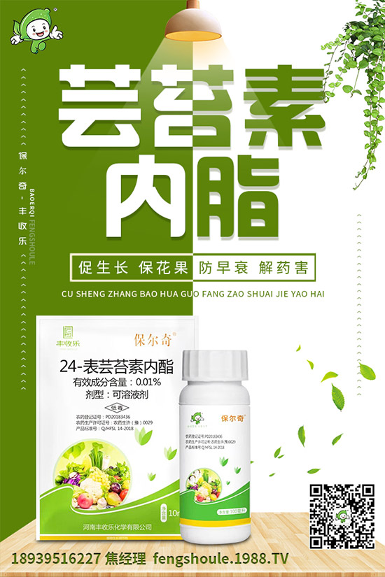 �������ô�޽ӣ���ϼ޽Ӹ߮a(ch��n)�Nֲ���g(sh��)��