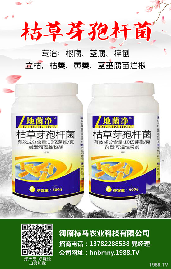 苦瓜怎么施肥，苦瓜施肥要點有哪些？