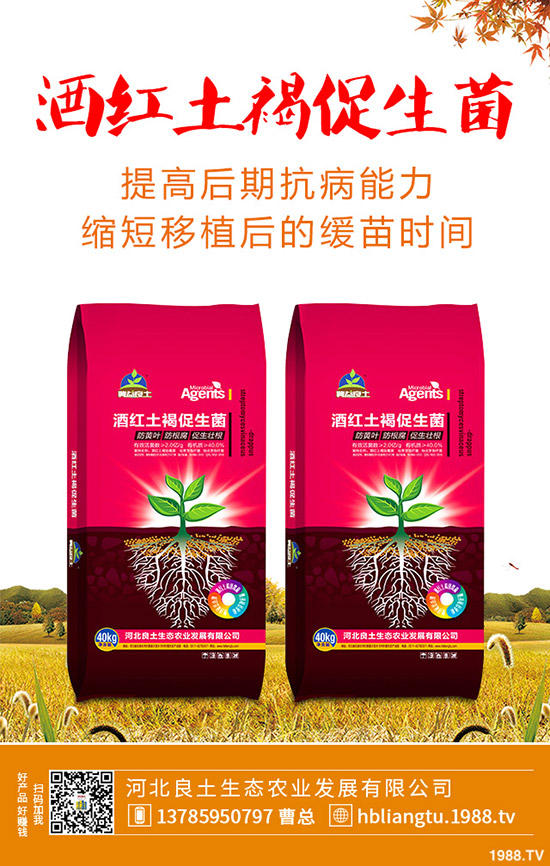 �{��ʲô�r��Nֲ�^�ã��{�˵ķNֲ���g�c���g����