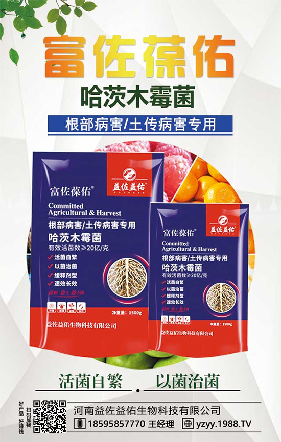 ���^����ʲô�I(y��ng)�B(y��ng)�r(ji��)ֵ�������^��ʲô��̎��