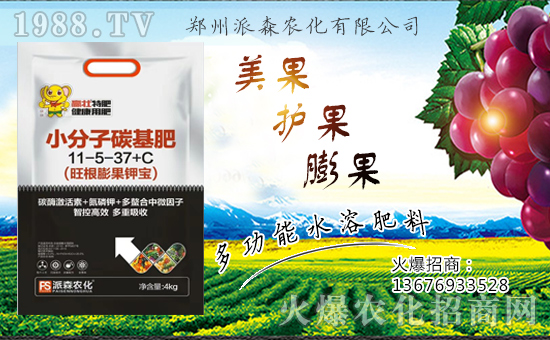 ������ɭ�r(n��ng)���ٺ�1988.TV����(zh��n)�Ժ����Pϵ�������_�A��