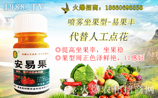 ����������(j��)�����r(sh��)���r(n��ng)�I(y��)�y��1988.TV���Aδ����