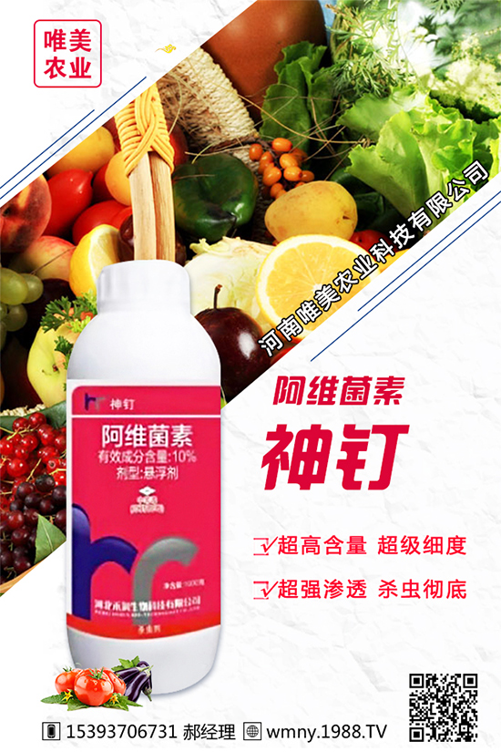 ���[������Ʒ�N����Щ���Nֲ���[���h(hu��n)���l����Ҫ����