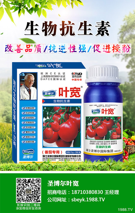 ���ﱡƤ���ԓ�����������Ƥ��ϸ߮a(ch��n)���༼�g(sh��)