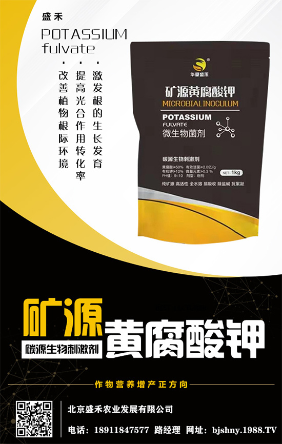     ����⛷�(w��n)���\(y��n)����2020.05.16⛷ʃr(ji��)�������߄ݷ�����