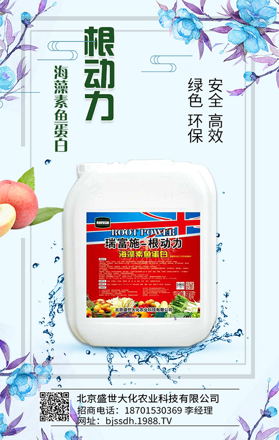 蘆筍有什么營養(yǎng)價(jià)值？吃蘆筍有哪些好處？