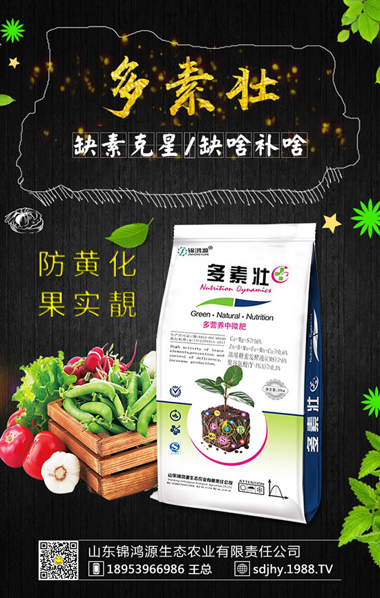 ���������緽������Щ������������Ҫ�c(di��n)�����ڹ�����