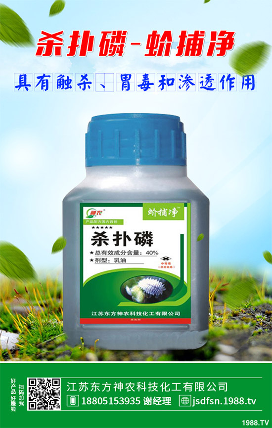 ��С�G�~�s