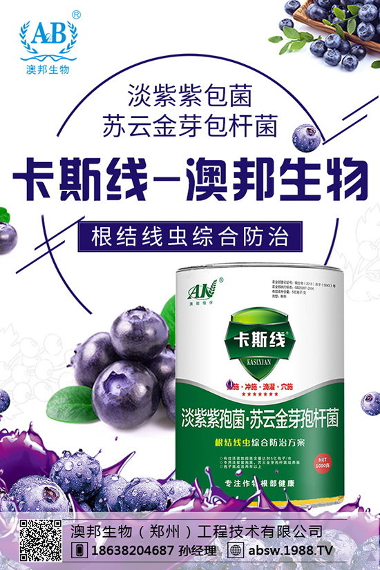 ���ײ��N������������������x�N�����ײ��Nע����헣�